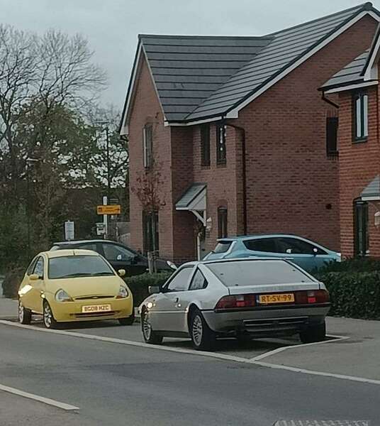 Matra murena.jpg