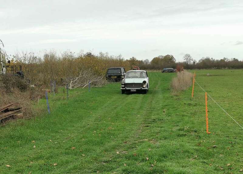 IMG_20221126_140634 broad.jpg