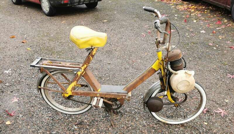 IMG_20221106_145135 broad.jpg