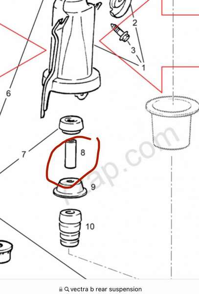 4D80AAF5-C5BE-4458-9EF2-ED58E41E6C92.thumb.jpeg.04d4c95ae869327a32c8d363b94841a7.jpeg