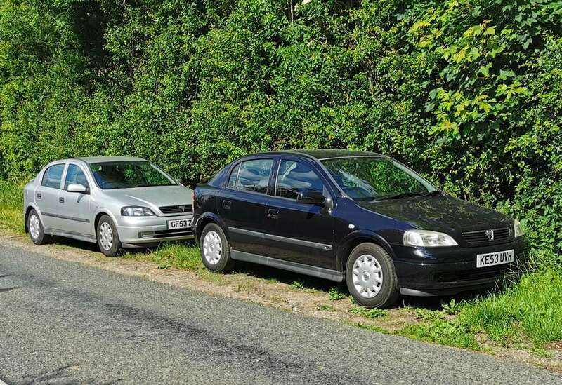 IMG_20220614_104306 broad.jpg