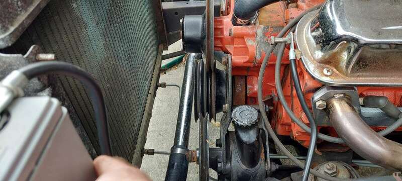 20230317_103811.thumb.jpg.d76638832d711bcc98e2c990565cdeda.jpg