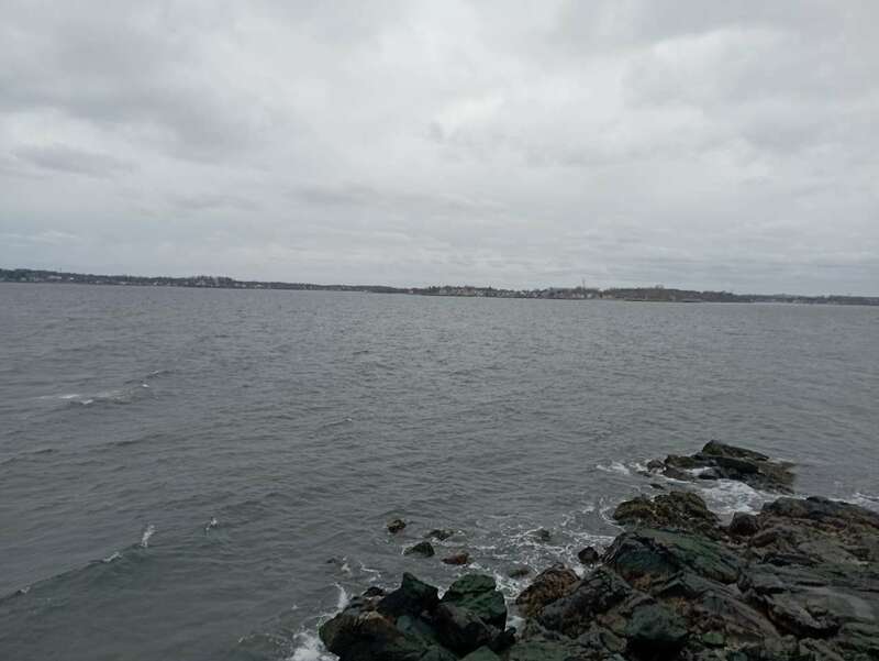 IMG_20230325_115532.jpg