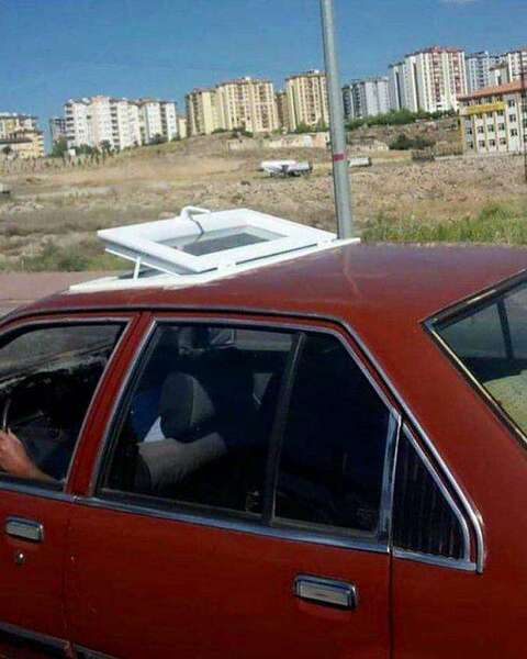 daily_picdump-50-16.thumb.jpg.5d035a8c3f67bb4a1db894edf0f923dc.jpg