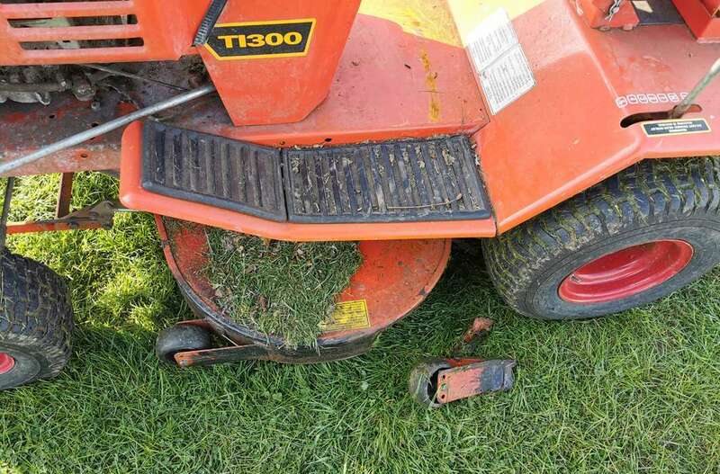 IMG_20230408_165614 broad.jpg