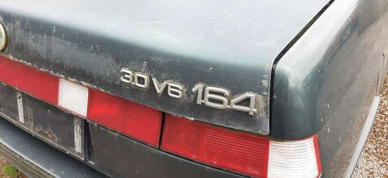 20230526_111253.thumb.jpg.821a276d2d52451efbd95687cd80da19.jpg