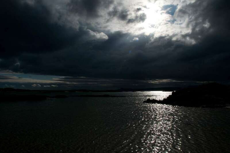 DSC_5934.thumb.jpg.516b0f9dece68cafbd1df8fd5c0421b4.jpg