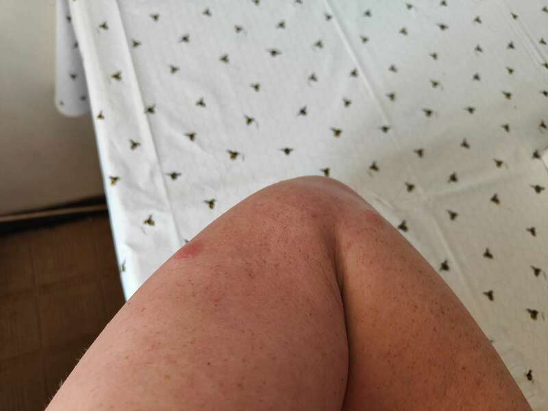 IMG20230506113301.jpg