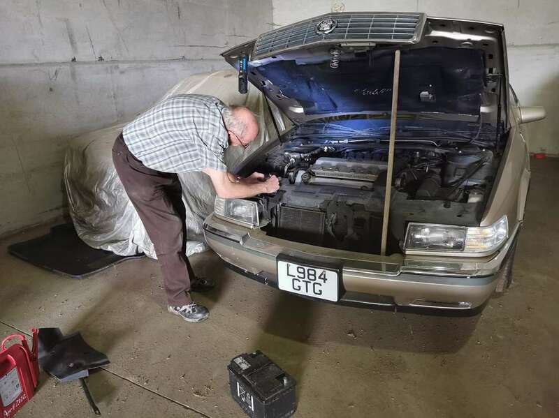 IMG_20230605_151609 broad.jpg