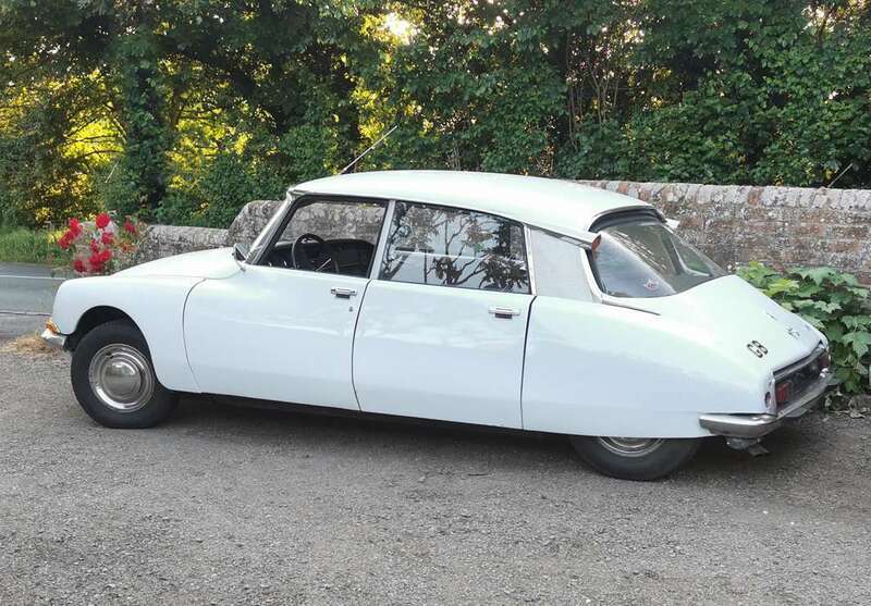 IMG_20230608_200635 broad.jpg