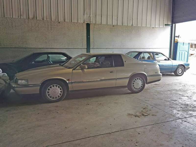 IMG_20230605_154848 broad.jpg