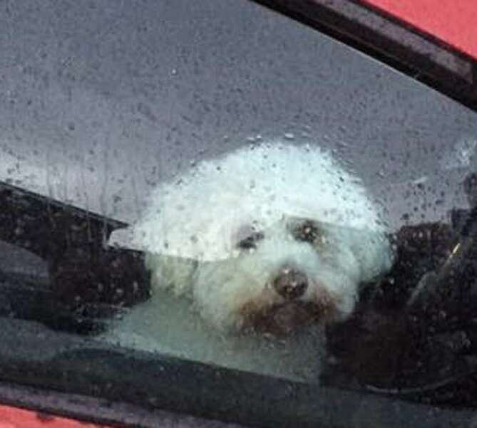 olliecar2a.thumb.jpg.d3f0f8f43c0015ce51e2cb935c886f2d.jpg