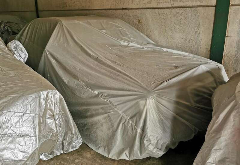 IMG_20230705_141655 broad copy.jpg