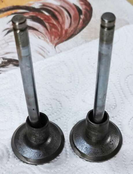 IMG_20230706_191747 broad.jpg