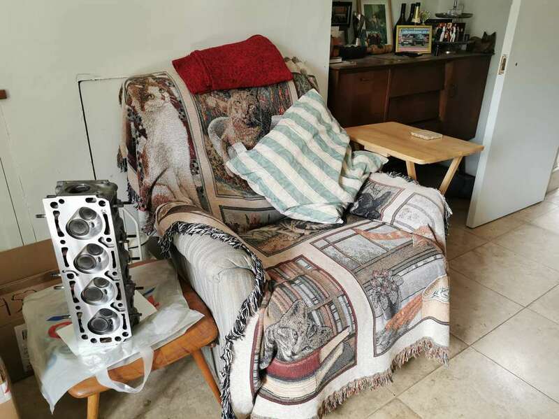 IMG_20230706_160719 broad.jpg