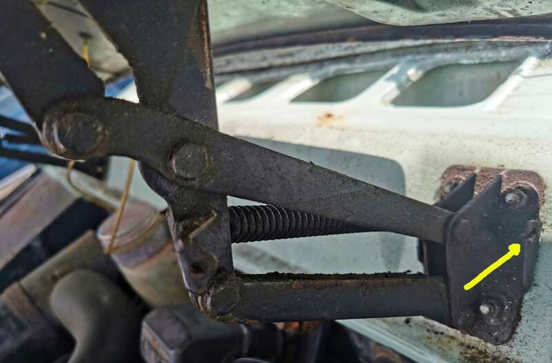 IMG_20230624_151454 crop with arrow.jpg