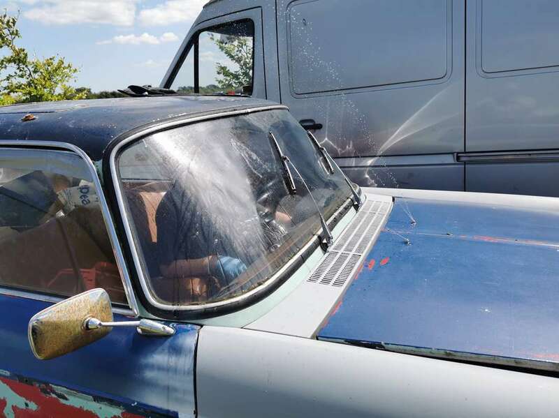 IMG_20230810_122950 broad.jpg