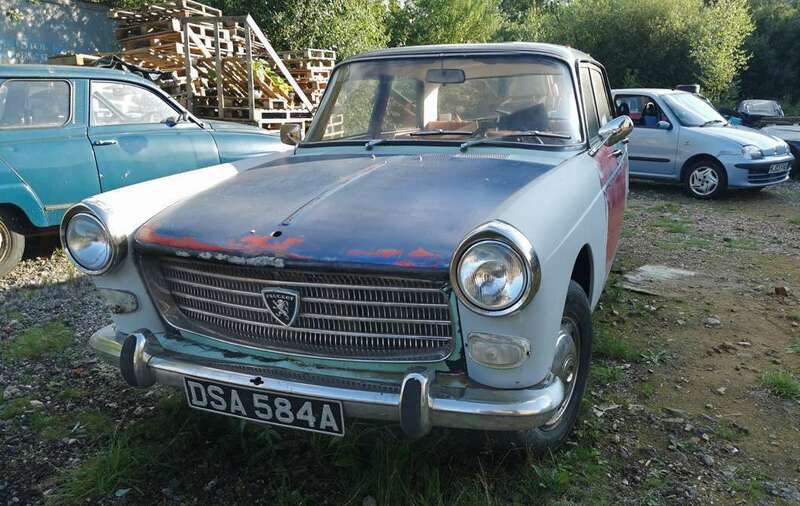 IMG_20230806_182236 broad.jpg