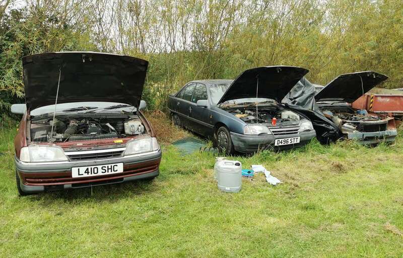 IMG_20230828_152740 broad.jpg