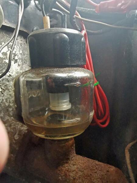 IMG_20230912_104828_BURST025 broad.jpg