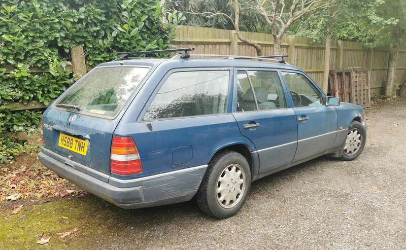 IMG_20230919_130112 broad.jpg