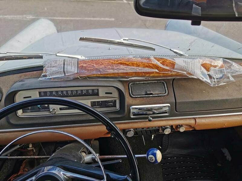 IMG_20230929_132930 broad.jpg