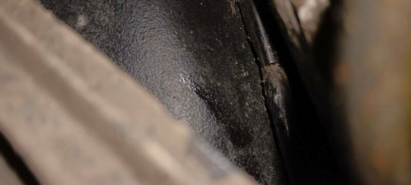 20231028_105906.thumb.jpg.952db35f87fbc330d8773337ed6193f9.jpg