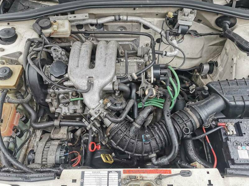 IMG_20231104_120855 broad.jpg