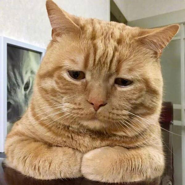 aggrieved.thumb.jpg.f73973e2d7060a372c1cb701f134d7c9.jpg