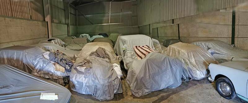 IMG_20231209_150447 merged broad.jpg