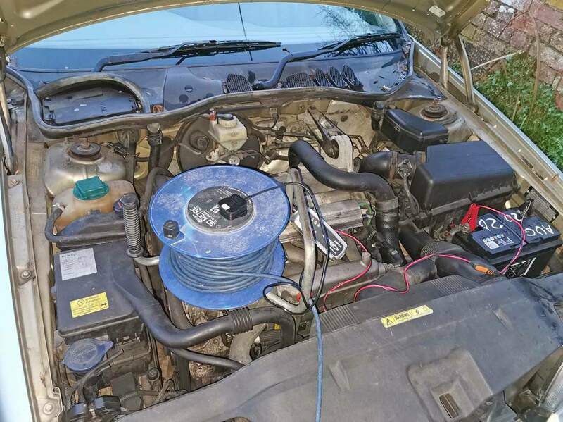 IMG_20231212_160647 broad.jpg