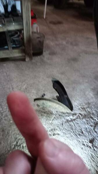 IMG_20240102_122349.thumb.jpg.8c21037ea8b4e47c2756e536833df114.jpg