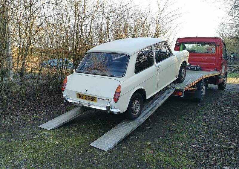 IMG_20240109_143249 broad.jpg