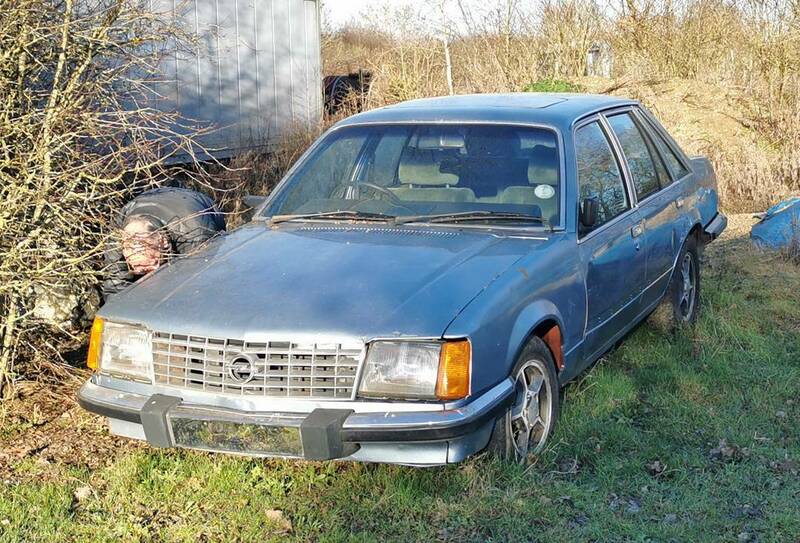 IMG_20240116_140350 broad.jpg