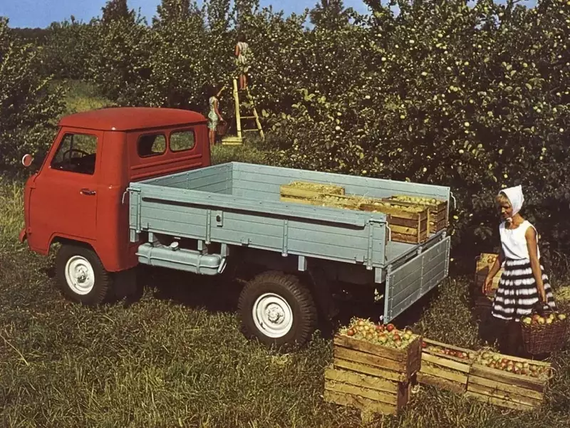 scale-1200-19apples.thumb.webp.082ba68b196d4ae68c0a26fe2a7c9c23.webp