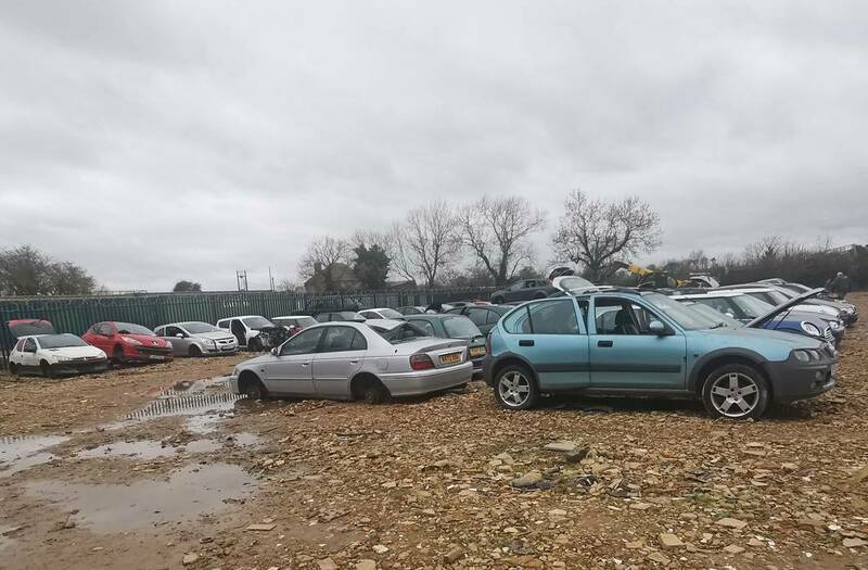 IMG_20240313_135505 broad.jpg