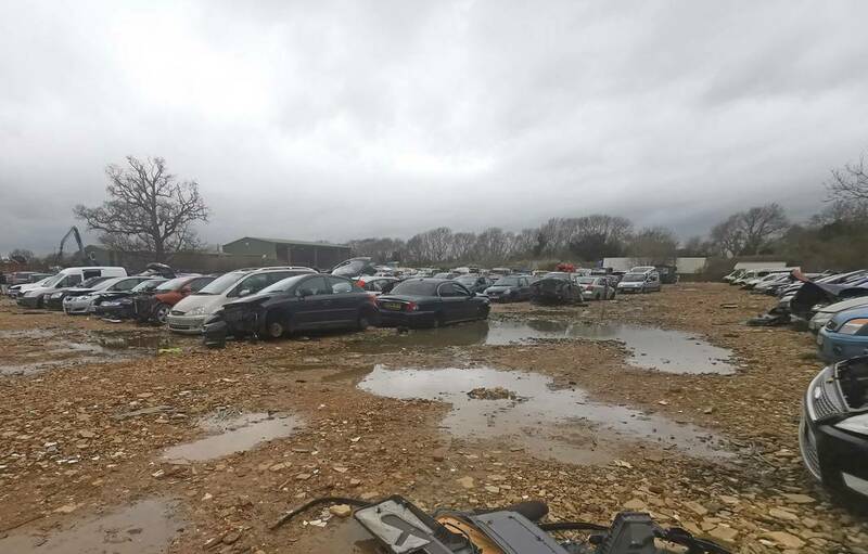 IMG_20240313_135508 broad.jpg