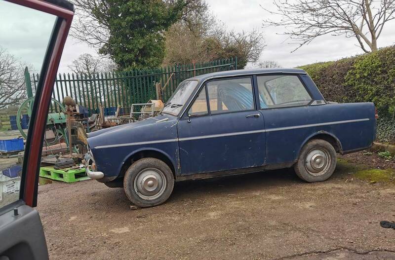 IMG_20240313_142650 broad.jpg