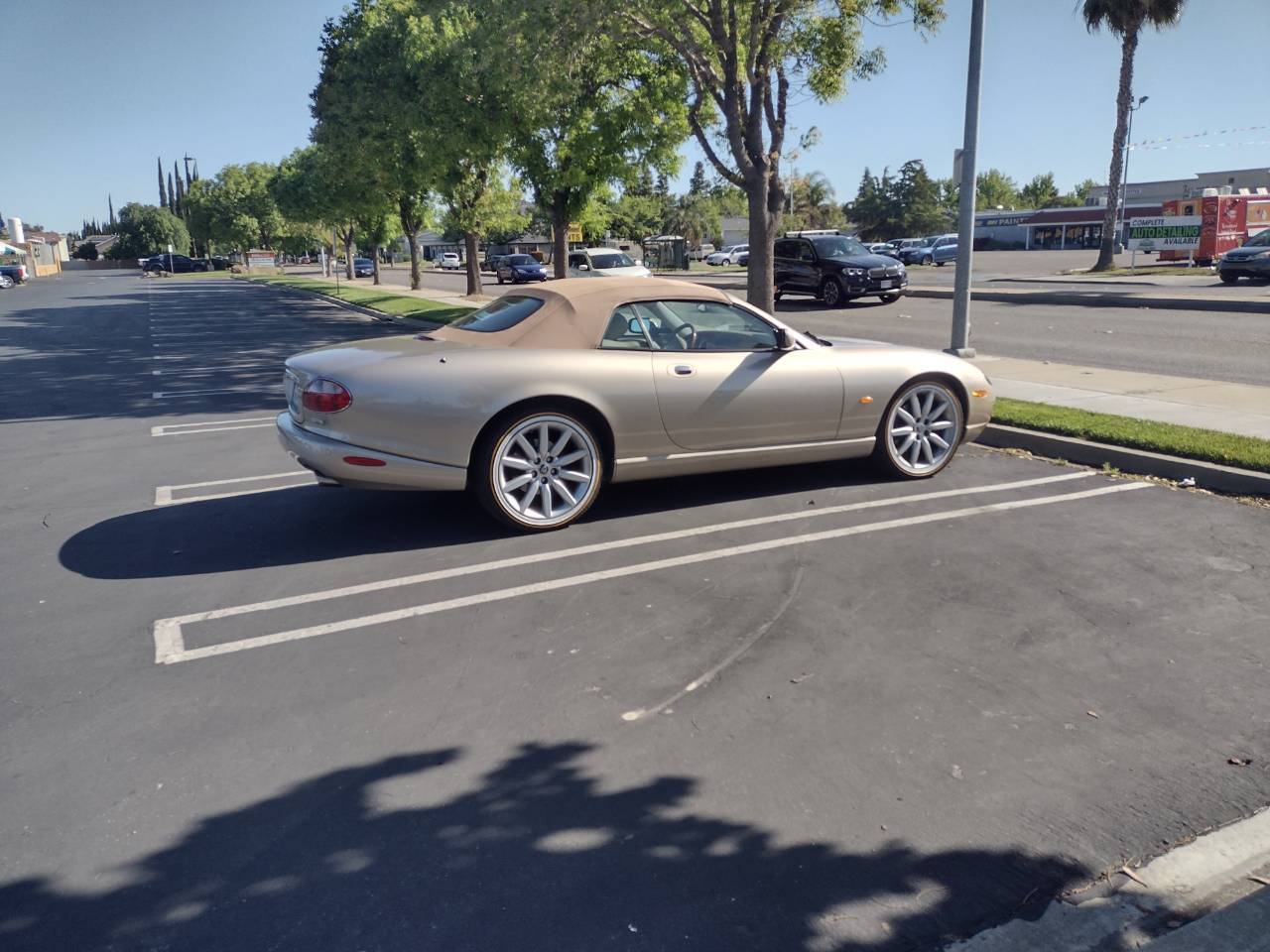 IMG_20240503_092330910_HDR.jpg.b8d870236e5e70e425c8bc5eb27c47fe.jpg