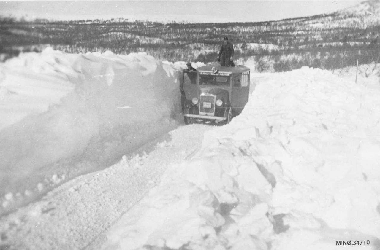 MIN.034710.jpg.64b58215319575d273fd108d11edfa09.jpg