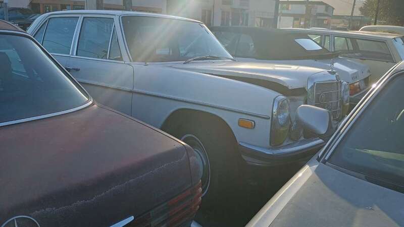 IMG_20241106_155317664_HDR.thumb.jpg.588d150a3d003e4cacf3b96d55e73803.jpg