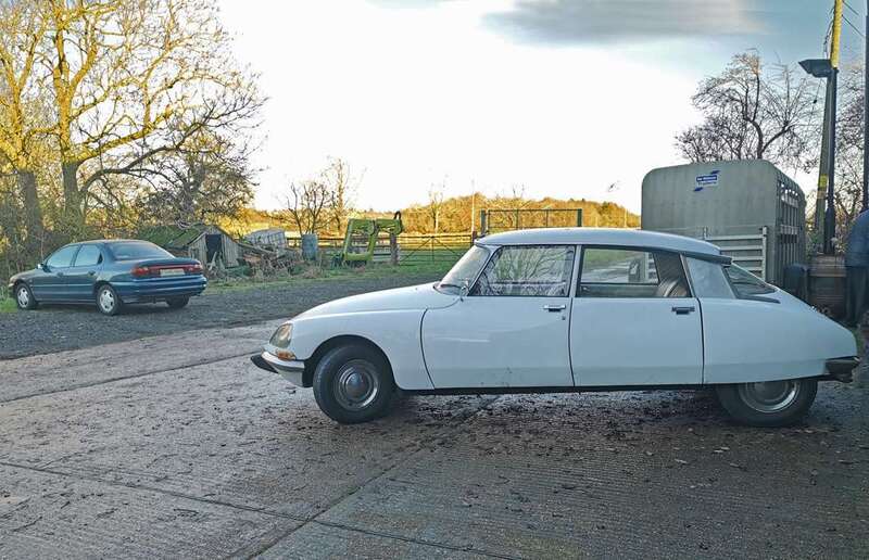 IMG_20241129_144107 broad.jpg