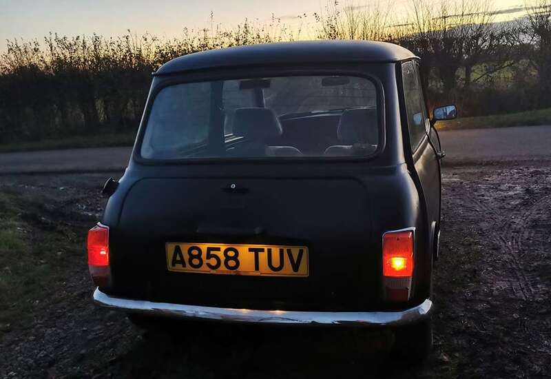 IMG_20241129_162222 broad.jpg