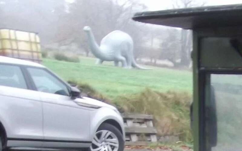 dinoblackwood.thumb.jpg.01924bc8bf8ba0cef03a1608b20000f1.jpg