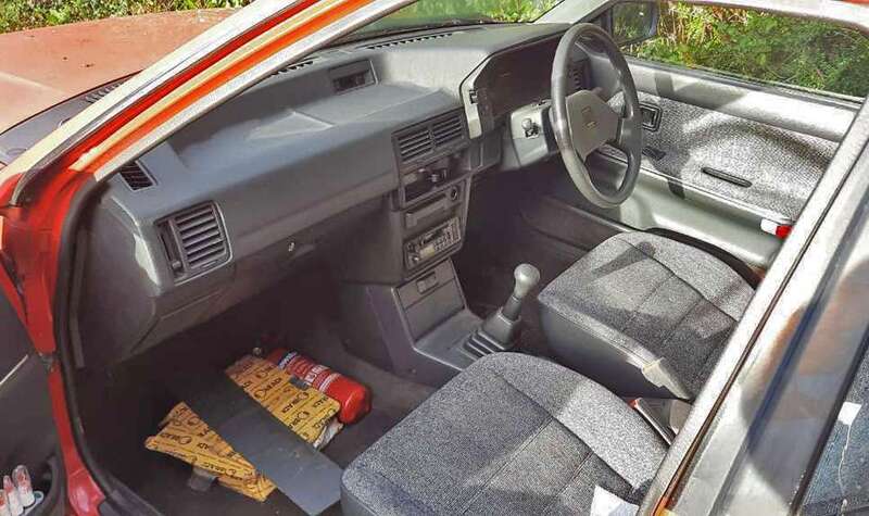 20241206_105945.jpg.6b85a51055c9c1540164343a016e9010 broad v2.jpg