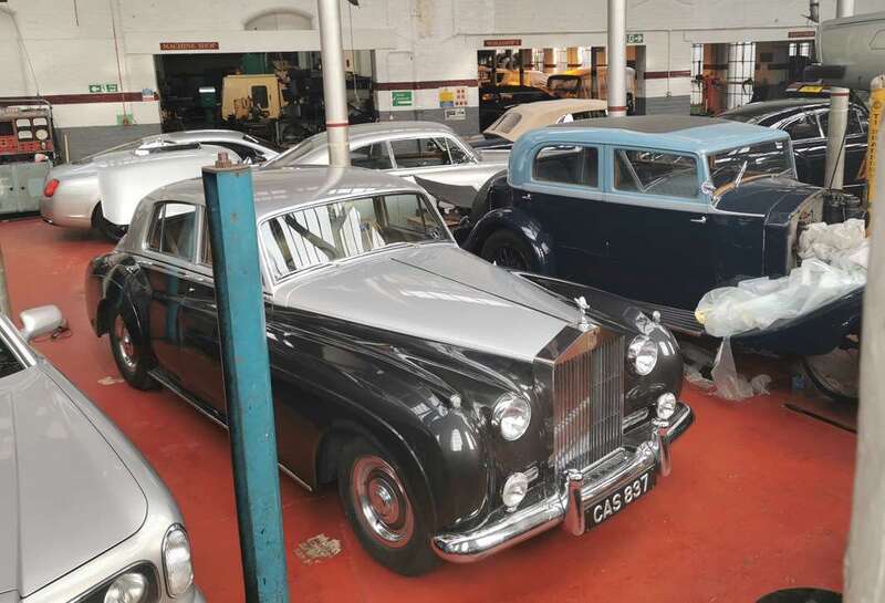 IMG_20241206_120841 broad.jpg