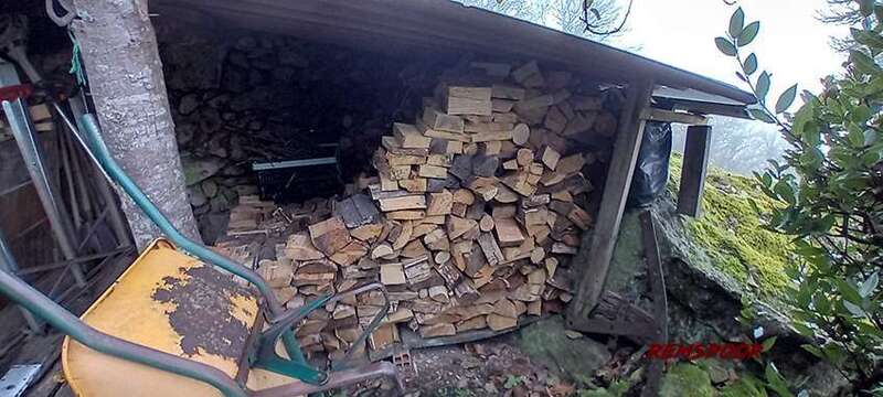 woodpile1.thumb.jpg.ba97774d762a45ef2f37da7172543b60.jpg