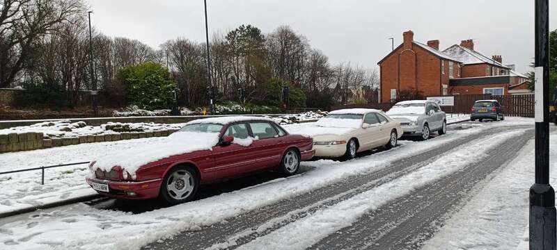 IMG_20250105_121931.jpg