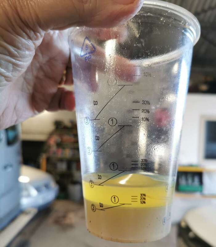 IMG_20250127_151326 broad.jpg