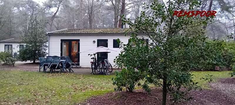 dutchbikes.thumb.jpg.482c324ff9de76743ff63b89a80b4eac.jpg
